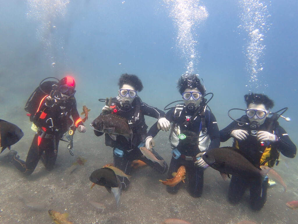 体験ダイビング