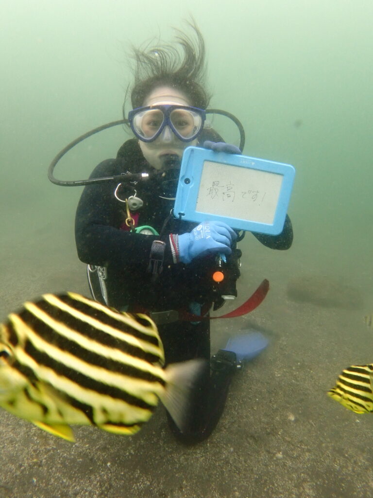 体験ダイビング