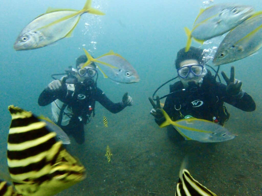 体験ダイビング