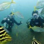 体験ダイビング