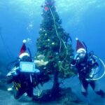 水中クリスマスツリー