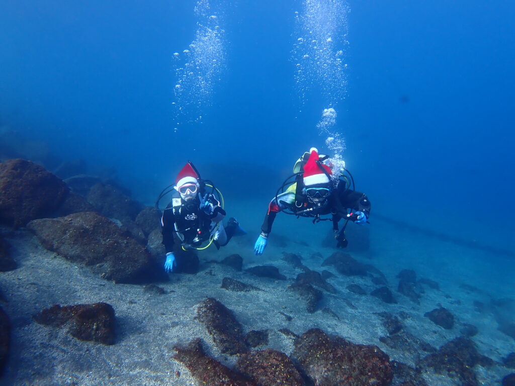 ã¯ãªã¹ãã¹ãã€ã