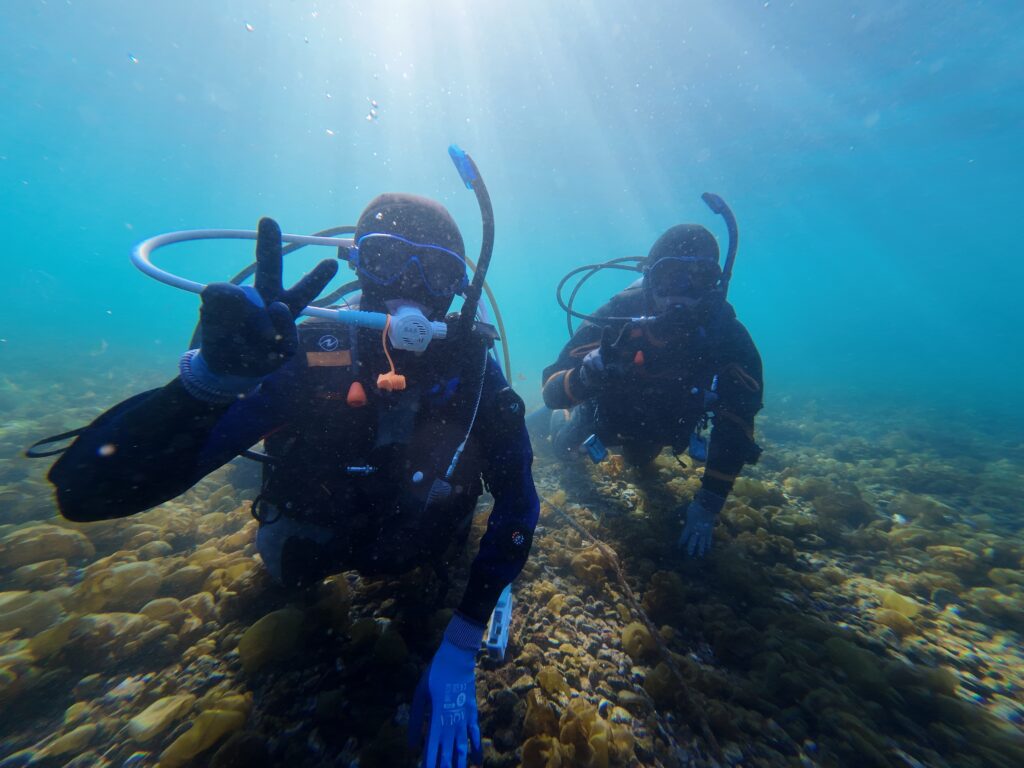 オープンウォーターダイバー