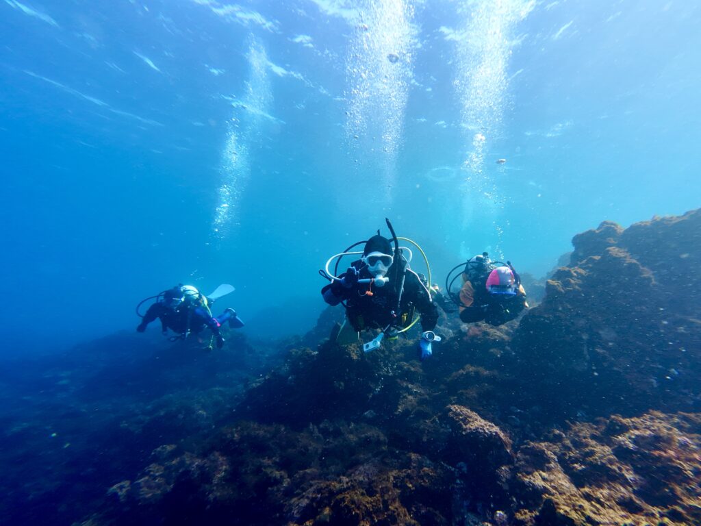 富戸ダイビング