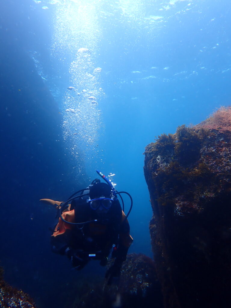 ドライスーツSP